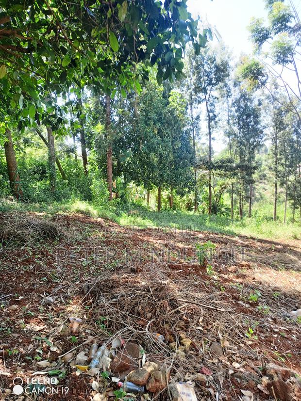 Ruaka Town 1/2 Acre on Sale - thumbnail 7