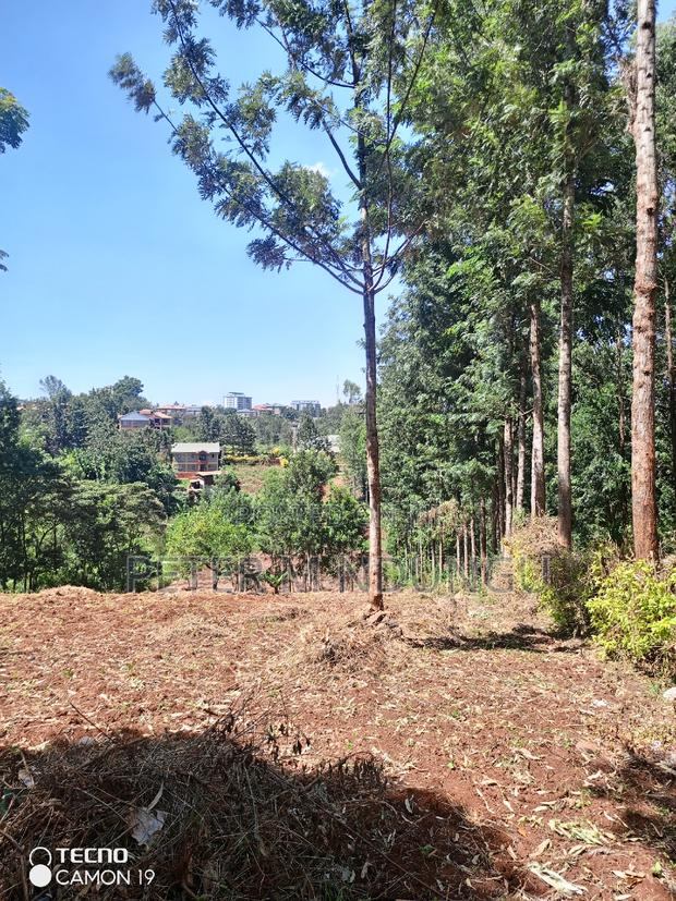 Ruaka Town 1/2 Acre on Sale - thumbnail 8