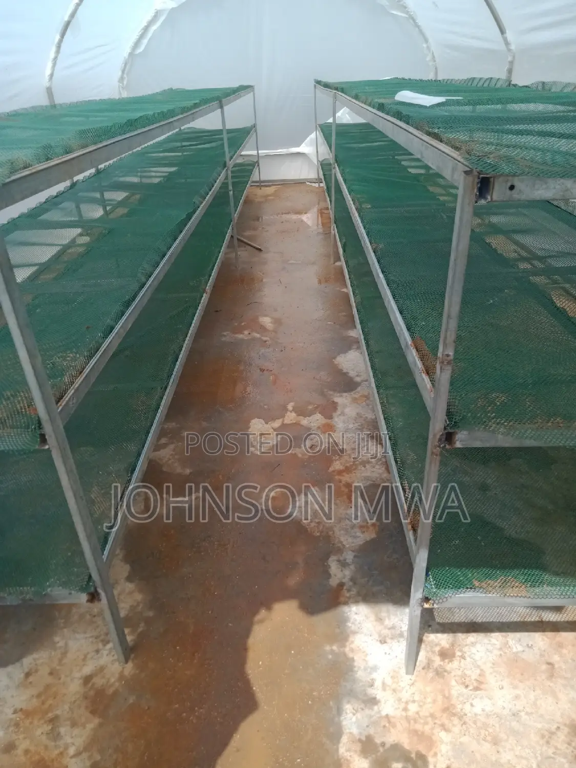 Solar Greenhouse Dryer