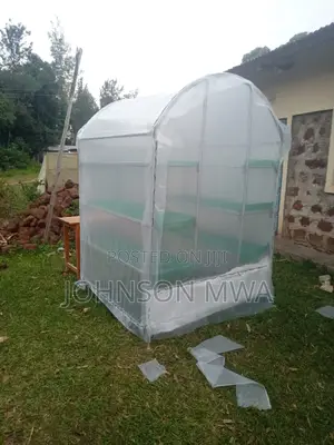 Solar Greenhouse Dryer
