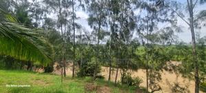 Mtwapa Aloo Drive,10 Acre Creek Beach Plot for Sale - thumbnail 2