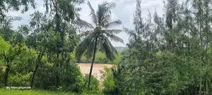 Mtwapa Aloo Drive,10 Acre Creek Beach Plot for Sale