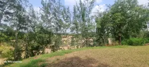 Mtwapa Aloo Drive,10 Acre Creek Beach Plot for Sale