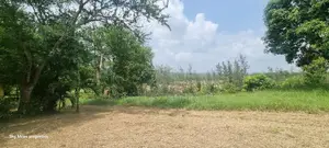 Mtwapa Aloo Drive,10 Acre Creek Beach Plot for Sale