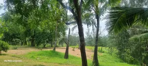 Mtwapa Aloo Drive,10 Acre Creek Beach Plot for Sale