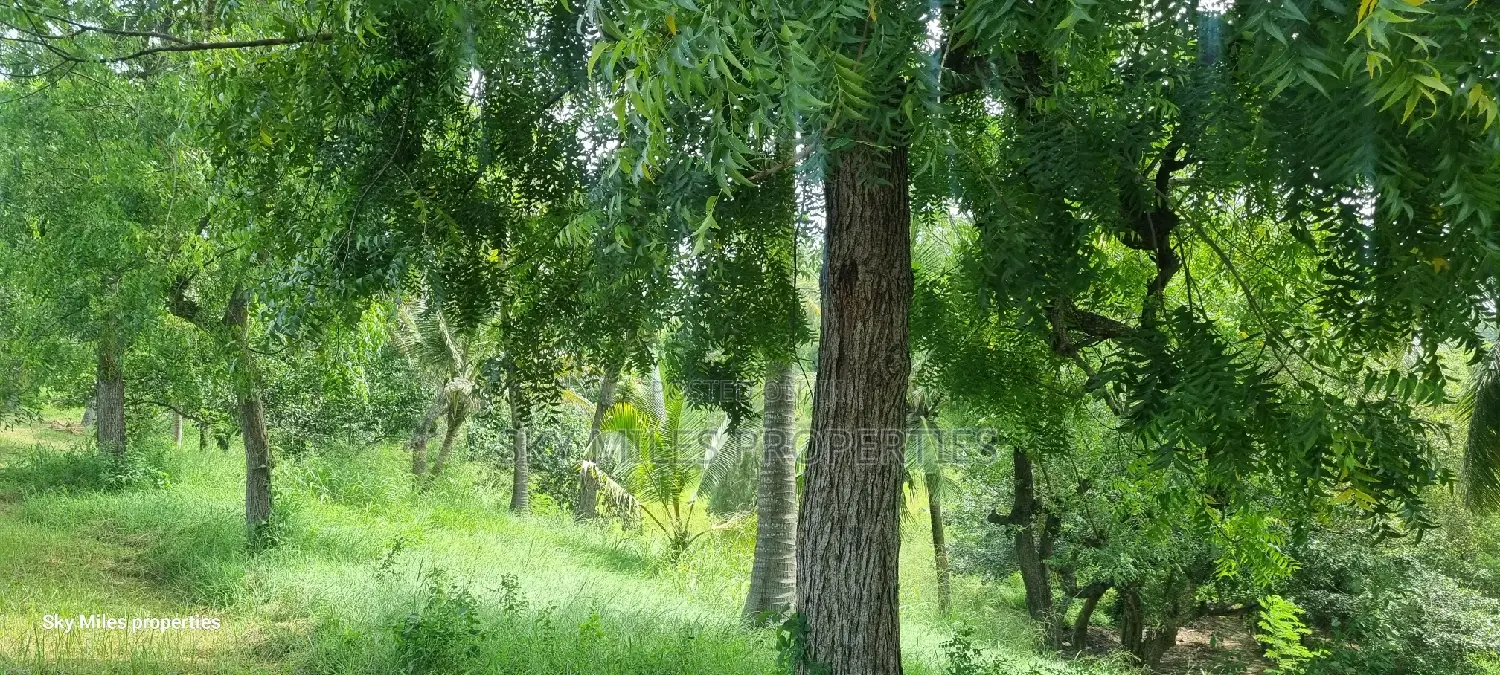Mtwapa Aloo Drive,10 Acre Creek Beach Plot for Sale
