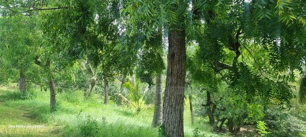 Mtwapa Aloo Drive,10 Acre Creek Beach Plot for Sale - thumbnail 9