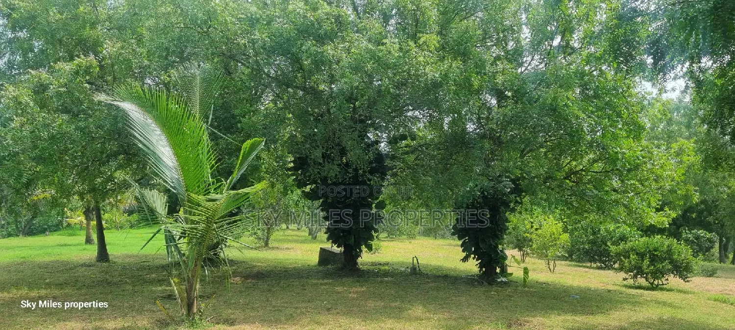 Mtwapa Aloo Drive,10 Acre Creek Beach Plot for Sale