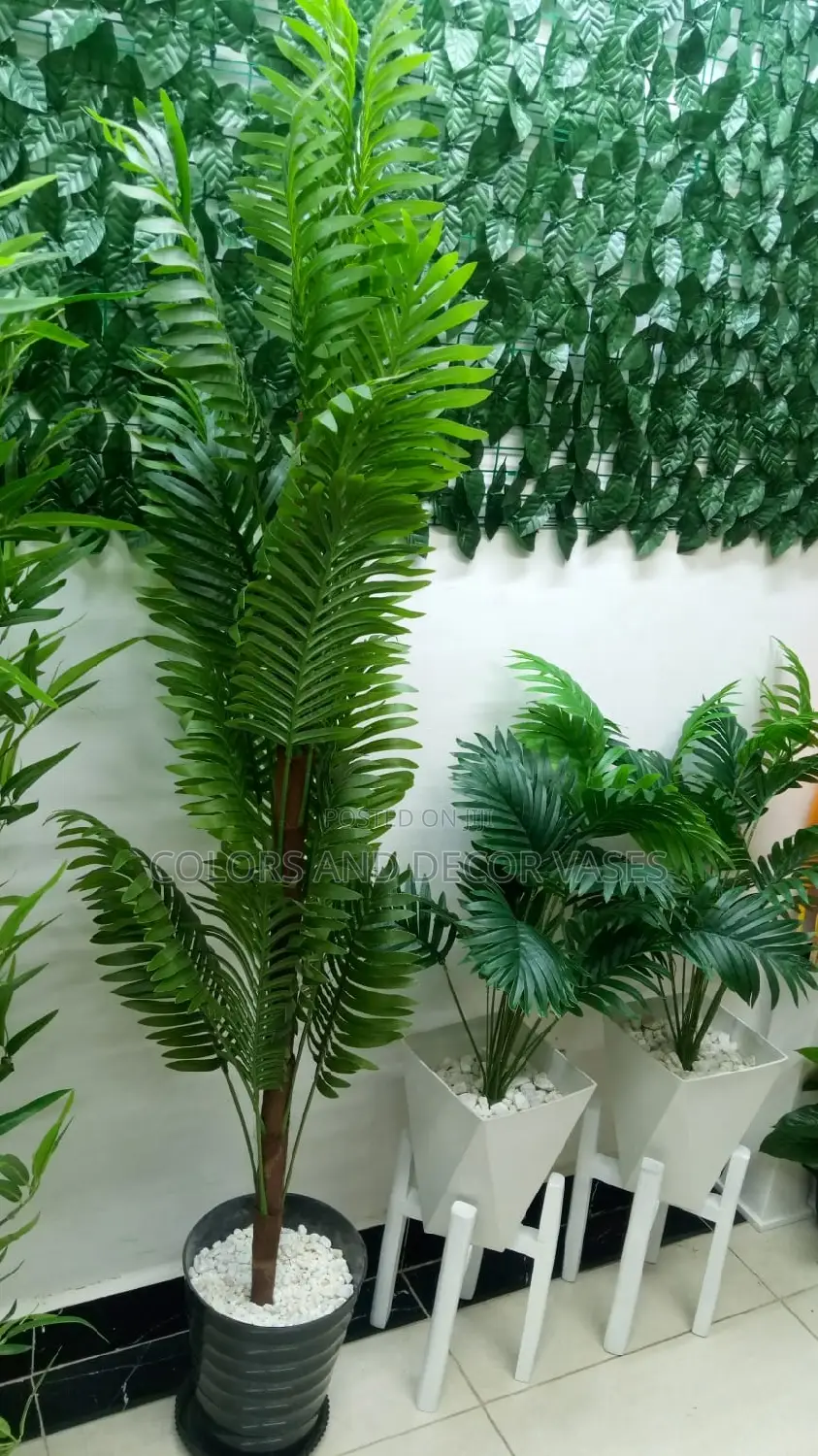 Plants And Vase Plus Stands