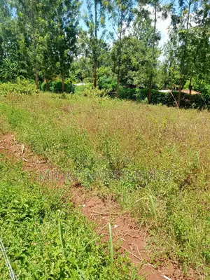 Acre of Land at Makuyu on Sale