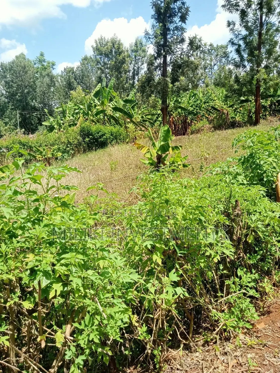 Acre of Land at Makuyu on Sale