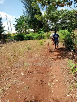 Acre of Land at Makuyu on Sale