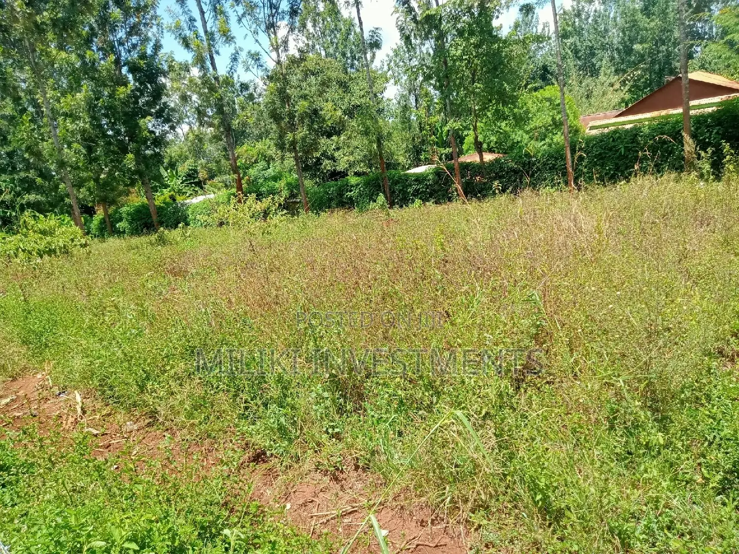 Acre of Land at Makuyu on Sale