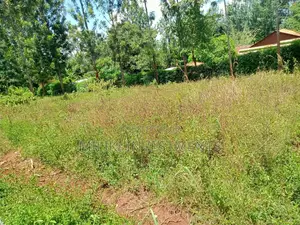 Acre of Land at Makuyu on Sale