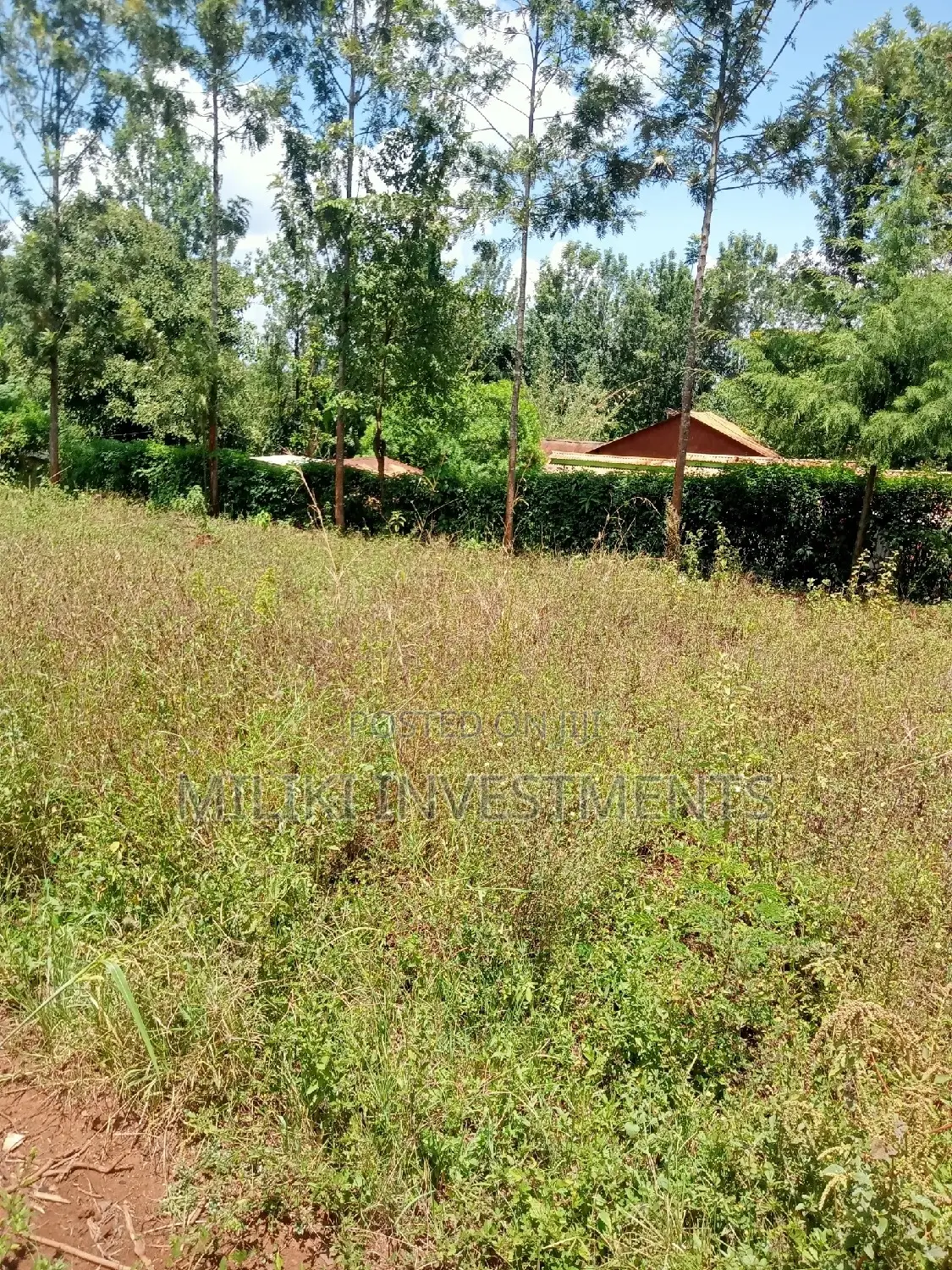 Acre of Land at Makuyu on Sale