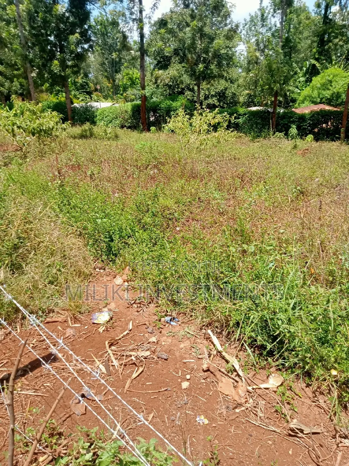 Acre of Land at Makuyu on Sale