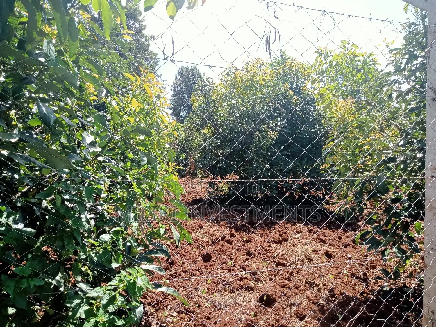 4 Acres Piece of Land on Sale at Makuyu