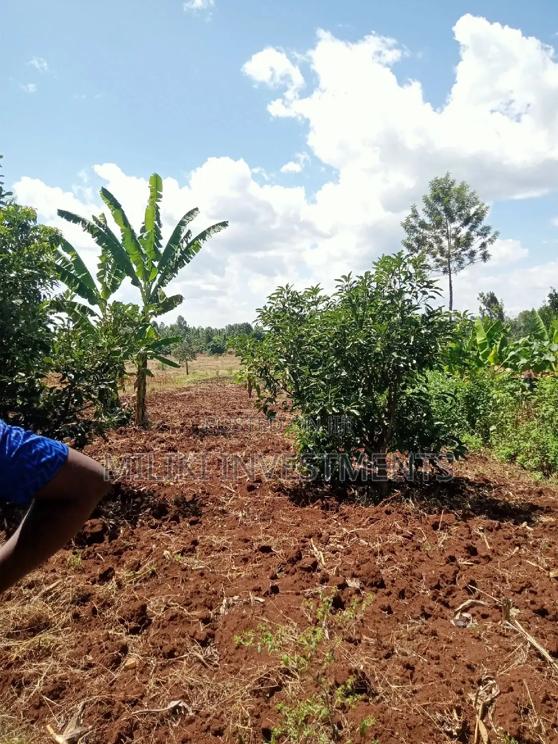 4 Acres Piece of Land on Sale at Makuyu