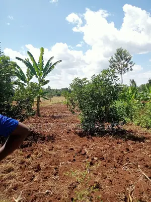 4 Acres Piece of Land on Sale at Makuyu