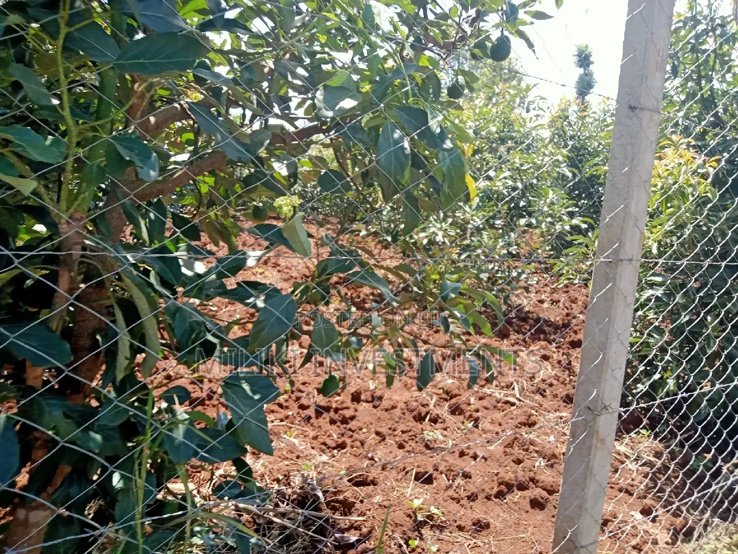 4 Acres Piece of Land on Sale at Makuyu