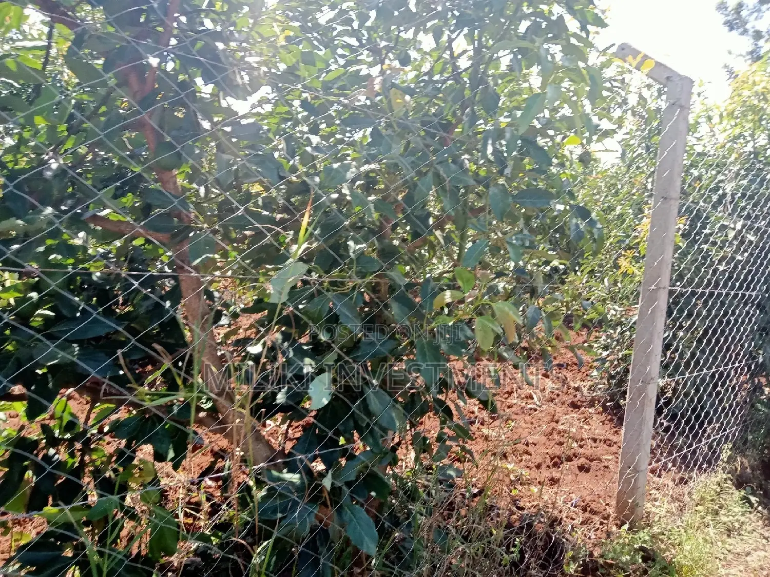 4 Acres Piece of Land on Sale at Makuyu