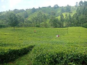 5.3 Acres on Sale at Ndakaini. - main view
