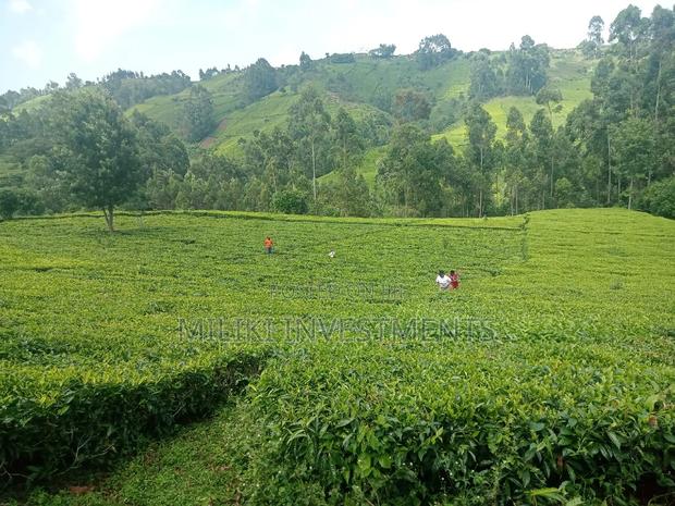 5.3 Acres on Sale at Ndakaini.