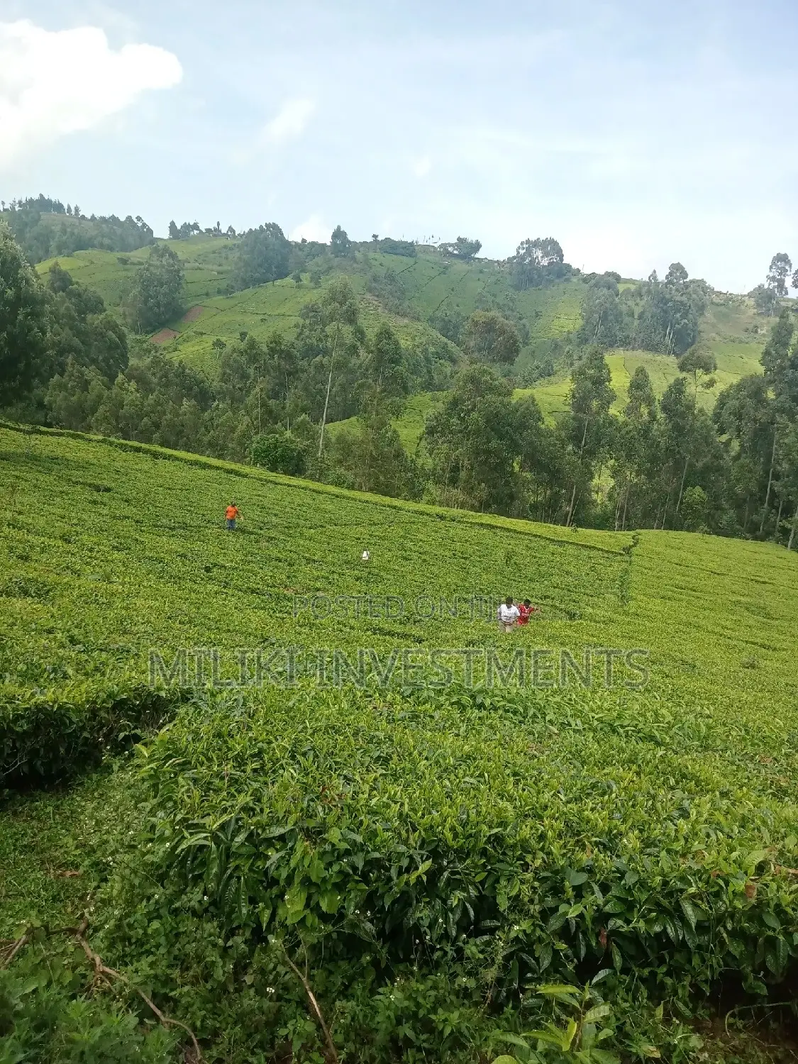 5.3 Acres on Sale at Ndakaini.