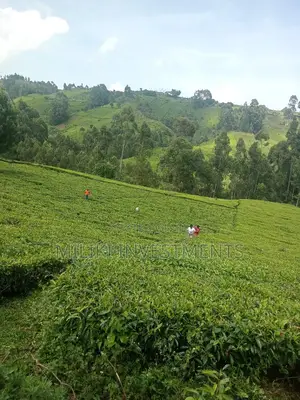 5.3 Acres on Sale at Ndakaini.