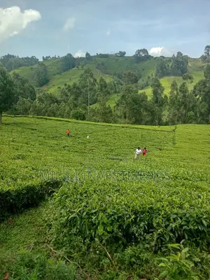 5.3 Acres on Sale at Ndakaini.