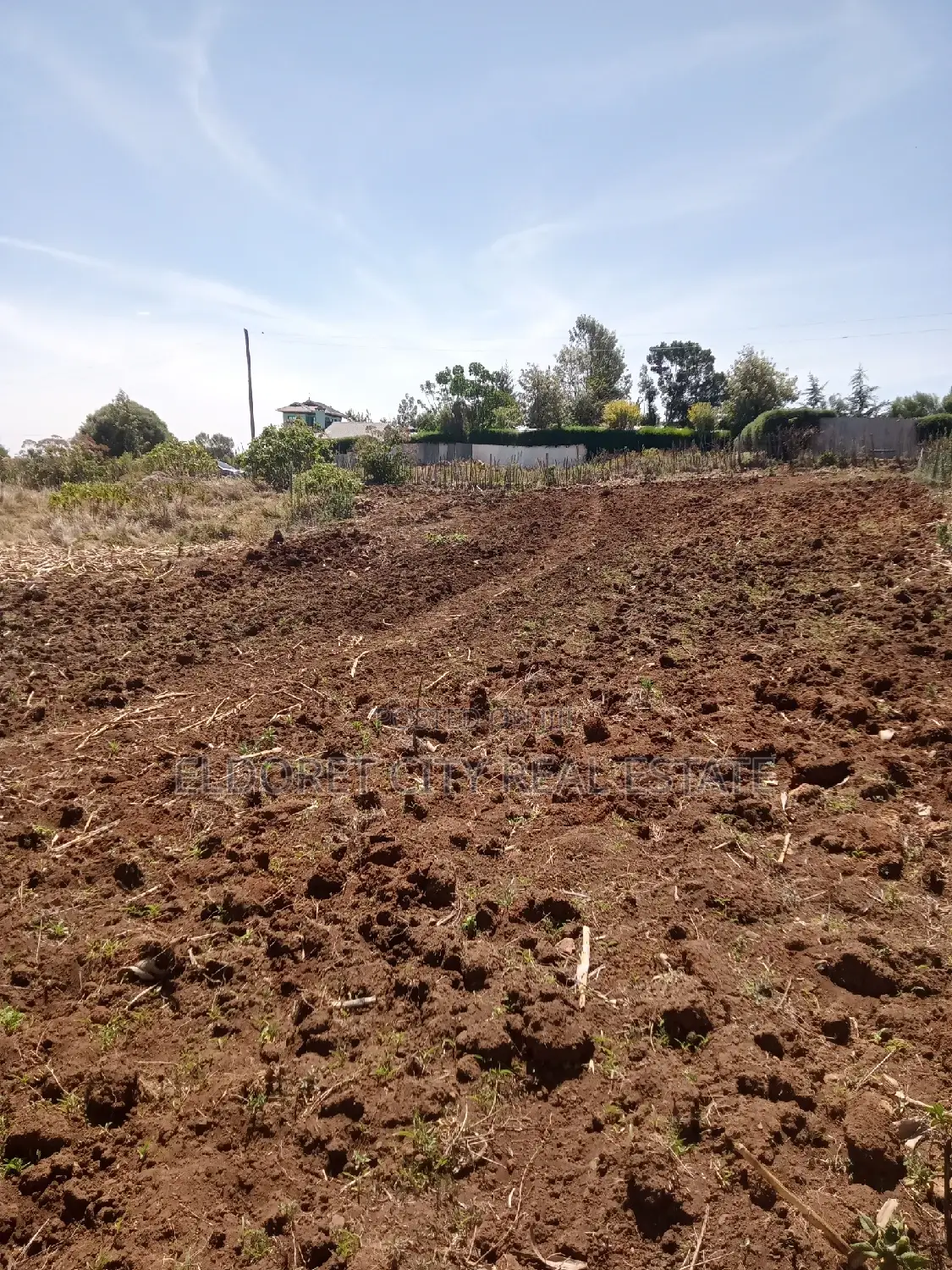 1/4 Plots Plot Misoi Area Kipkorgot