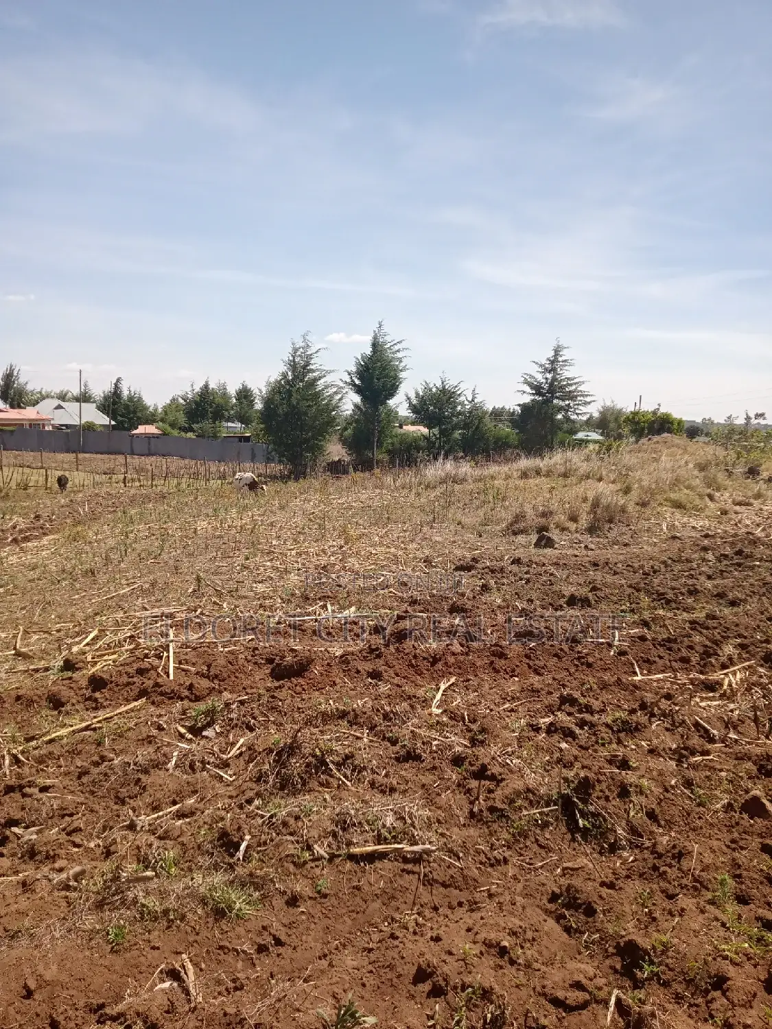 1/4 Plots Plot Misoi Area Kipkorgot