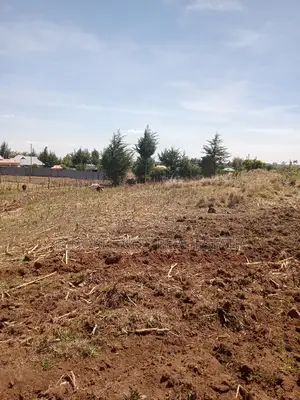 1/4 Plots Plot Misoi Area Kipkorgot
