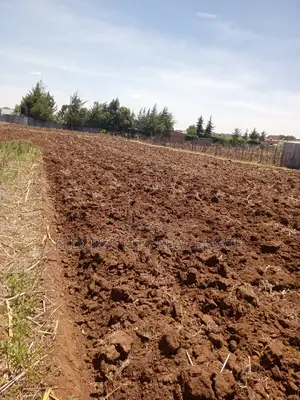 1/8 and 1/4 Plots Kipkorgot Ideal for Residential