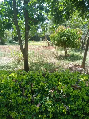 1/4 Plot Kolol Estate Longonot Area