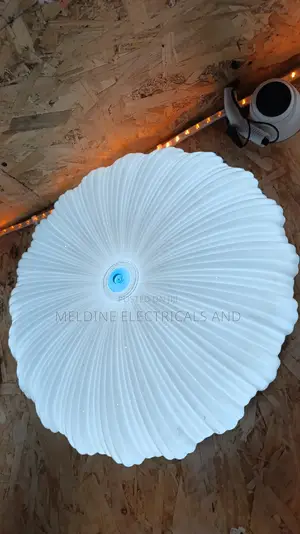 LED Ceiling Light