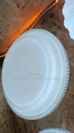 LED Ceiling Light
