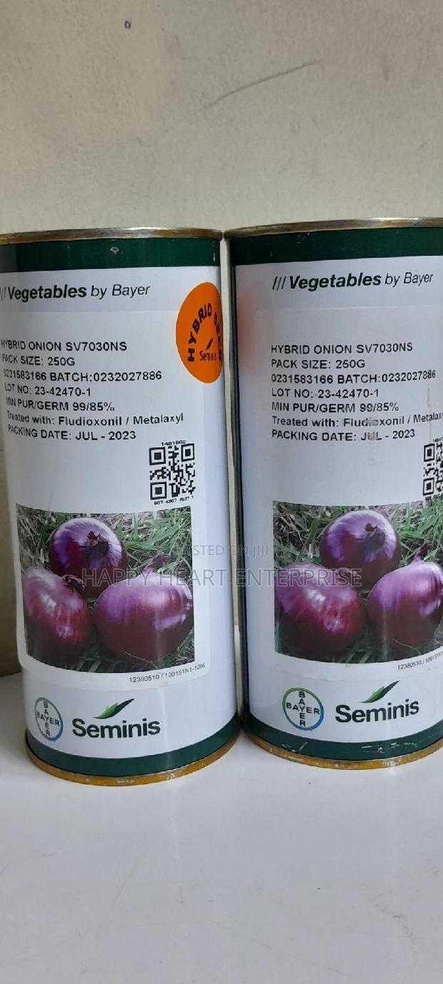 Sv Hybrid Onion 7030 Ns 250 Grams