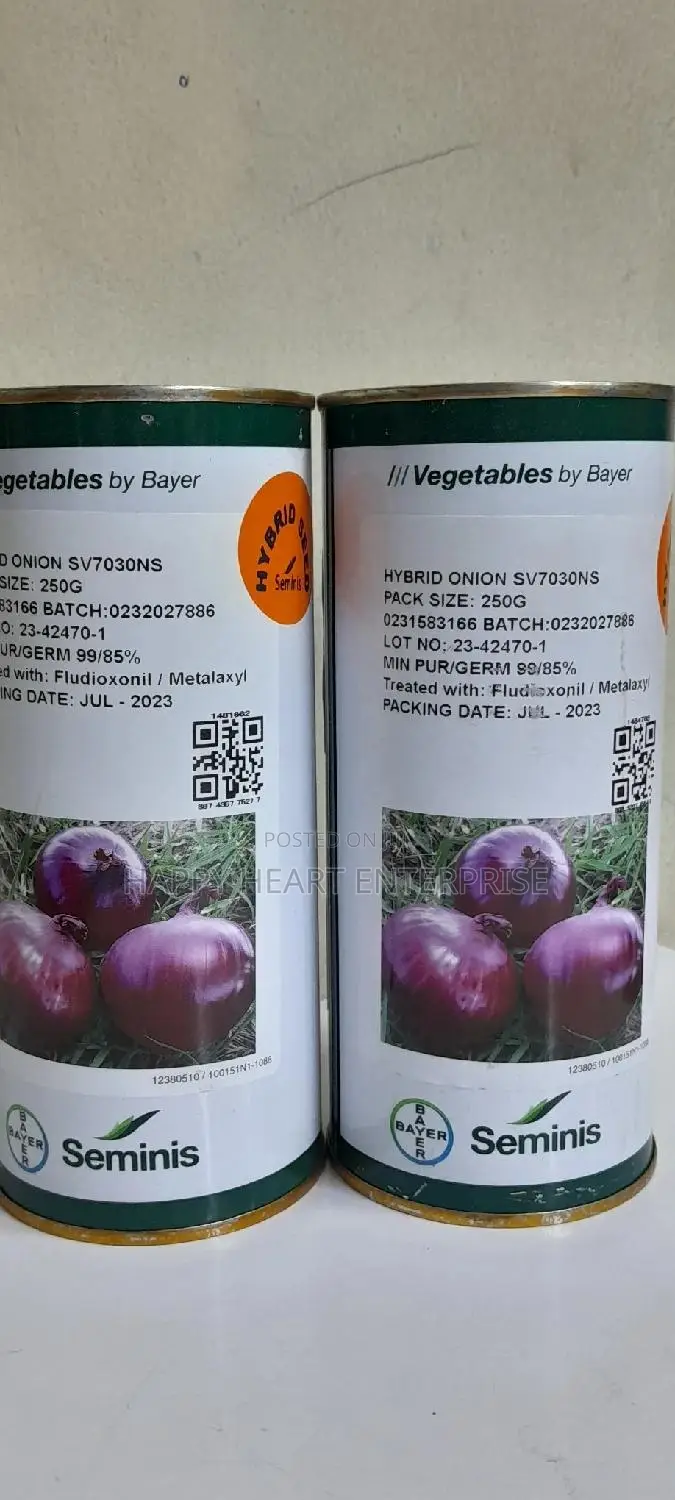 Sv Hybrid Onion 7030 Ns 250 Grams