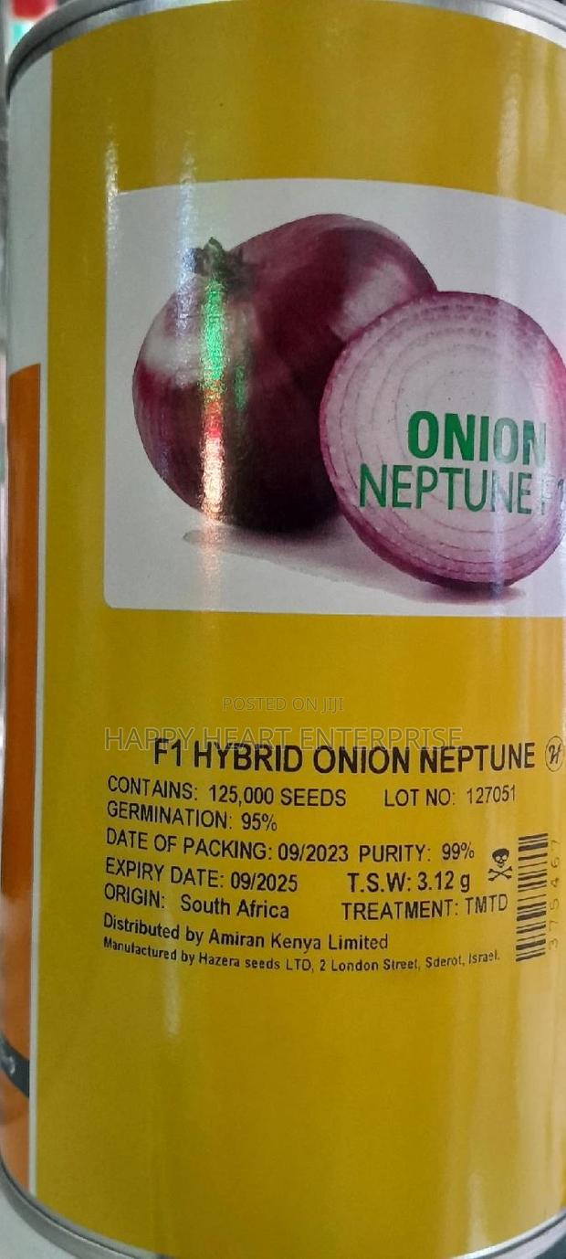 Hybrid Onion Neptune F1 500G