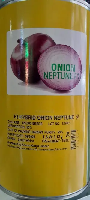 Hybrid Onion Neptune F1 500G