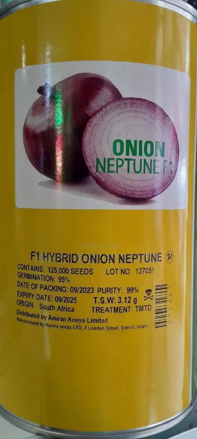 Hybrid Onion Neptune F1 500G