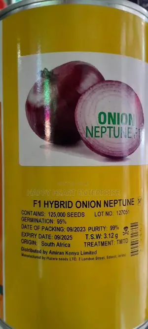 Hybrid Onion Neptune F1 500G