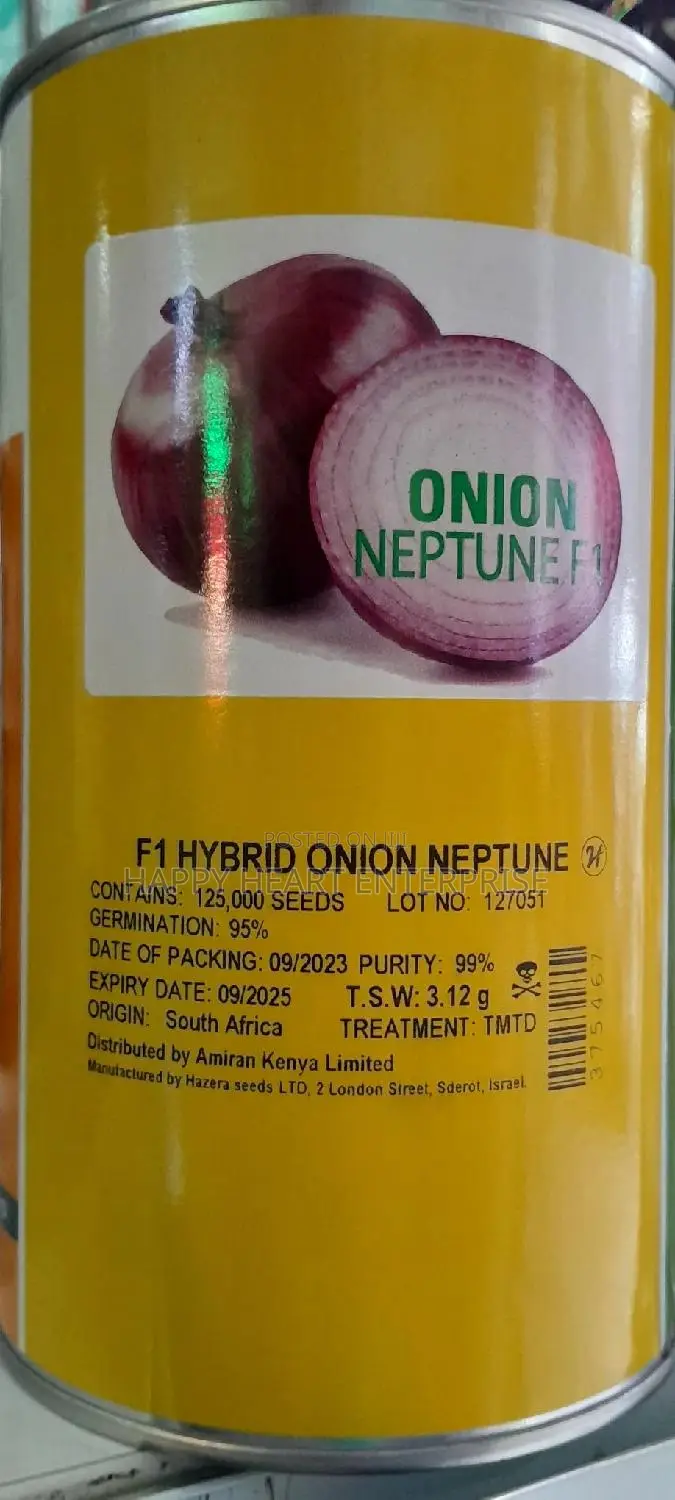 Hybrid Onion Neptune F1 500G