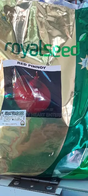 Red Pinnoy Hybrid Onion 1kg