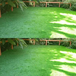 Grass Carpets Grass Carpets Grass Carpets Grass Carpets