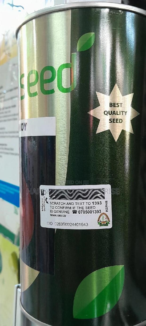 Red Pinnoy Onion - thumbnail 4