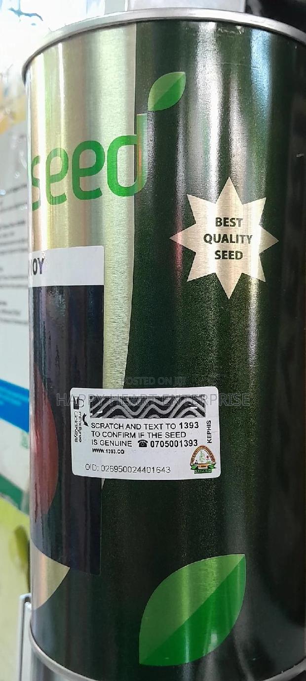 Red Pinnoy Onion - thumbnail 5