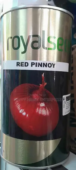 Red Pinnoy Onion