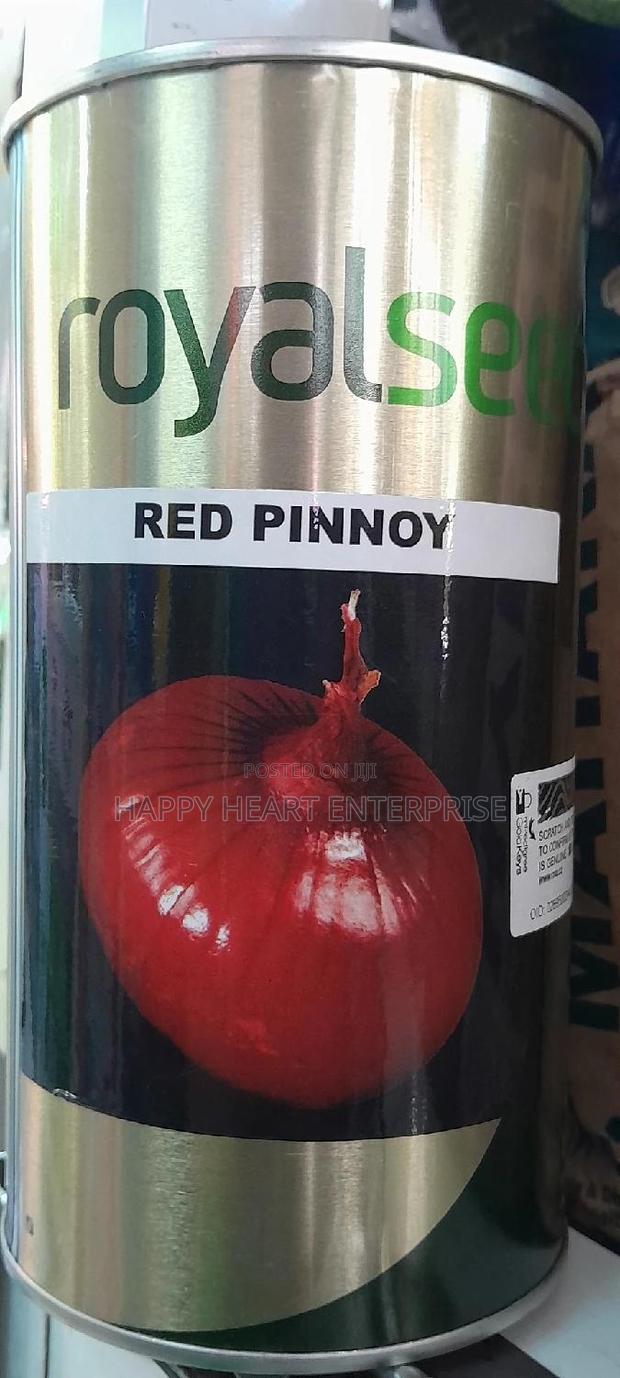 Red Pinnoy Onion - thumbnail 6